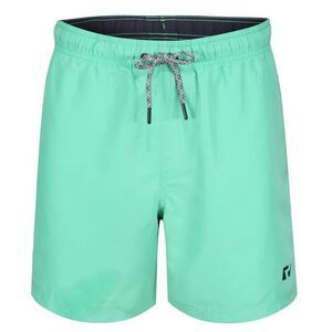 RIPT Essentials Mens Swim Shorts / Aqua